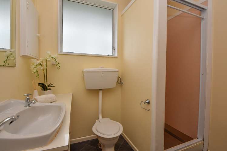 49a Mcmaster Street Greytown_8