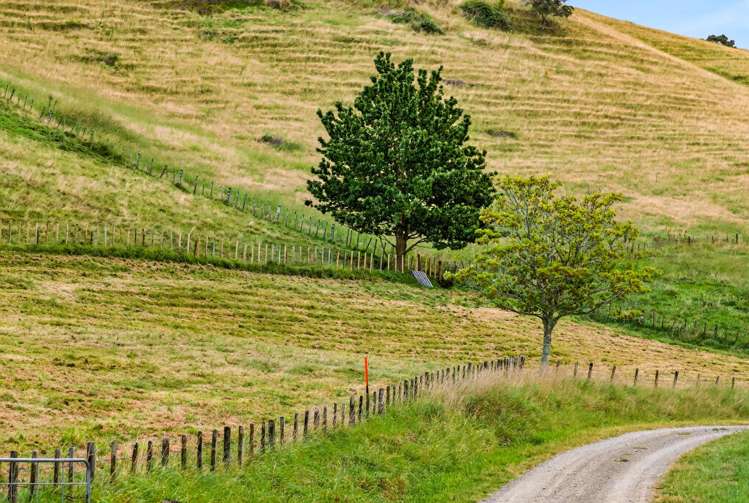 Lot Lot 1/1066 Dartmoor Road Puketapu_5