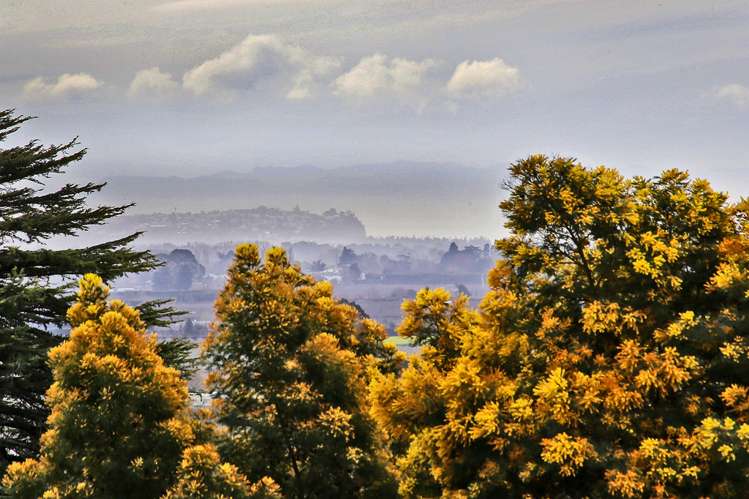 9a Te Mata Peak Road Havelock North_13