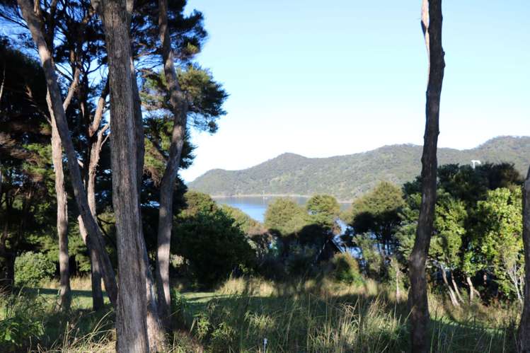 6 Harpoon Hill Great Barrier Island (Aotea Island)_3