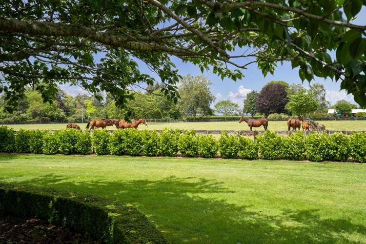 1/1080 Kaipaki Road Cambridge_21