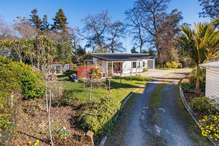 10a Shelton Place Marton_24