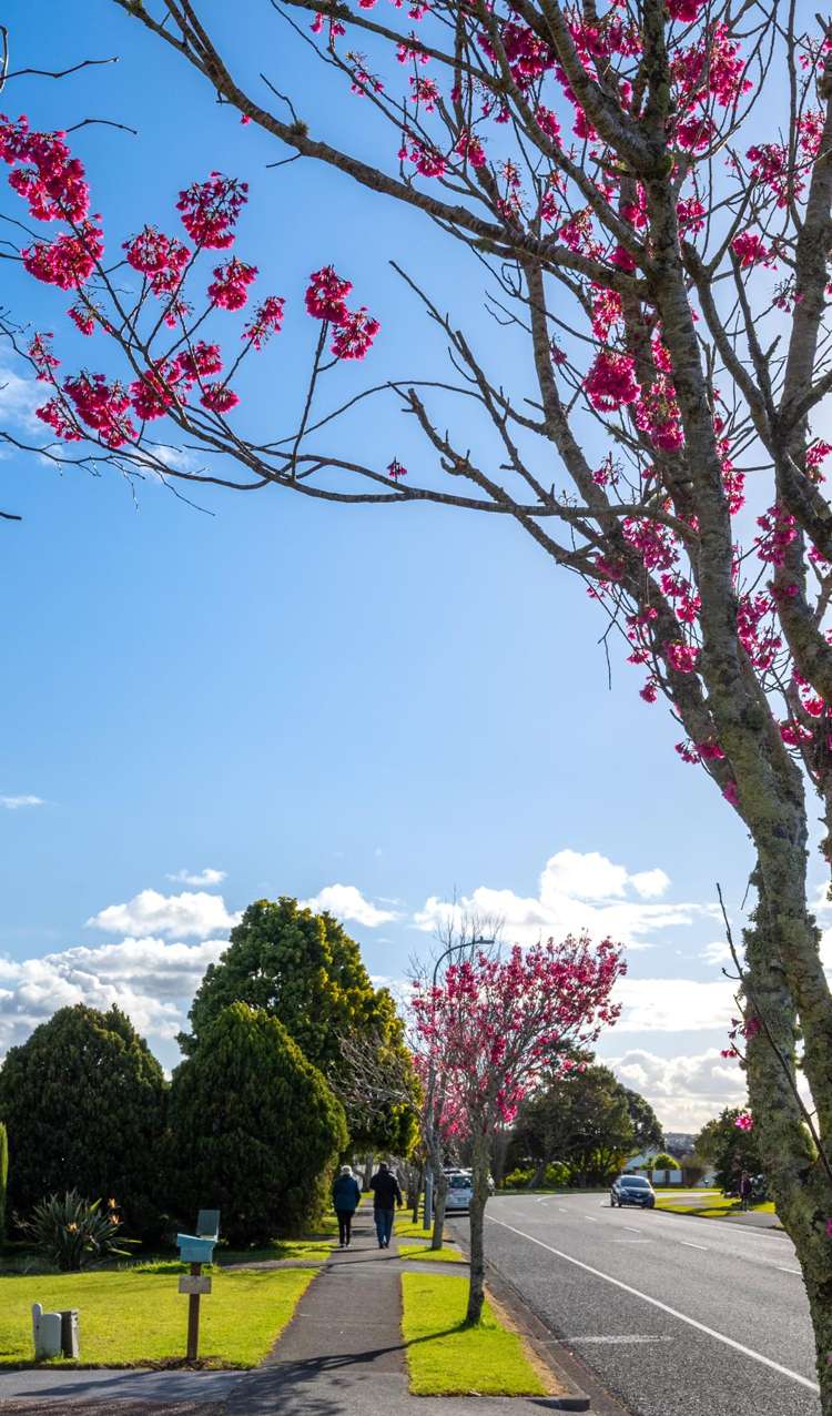 63 Frank Nobilo Drive Golflands_19