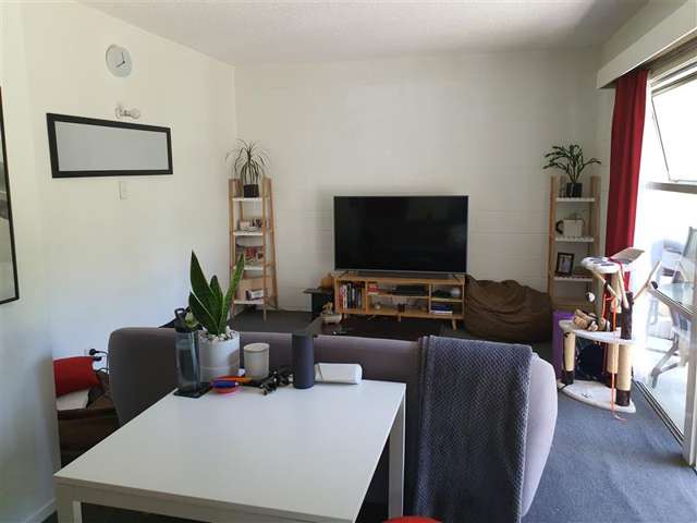 3/21a Malvern Road Morningside_2