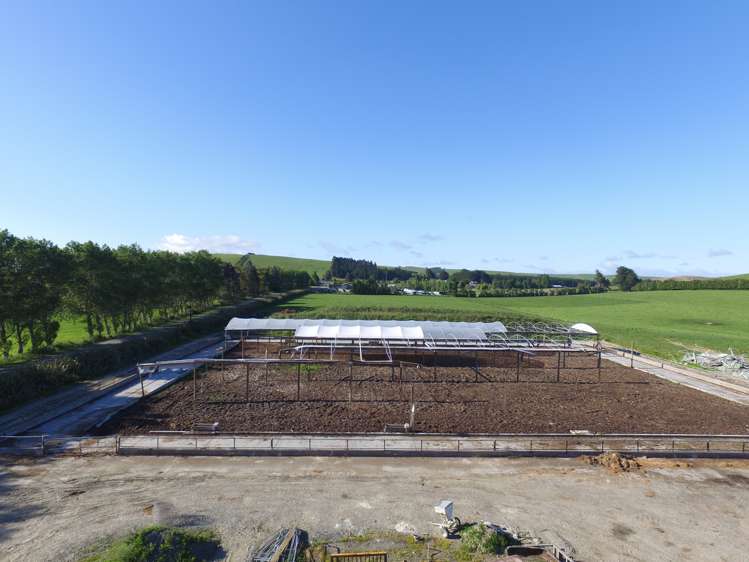 1402 Limehills Browns Road Winton Surrounds_8