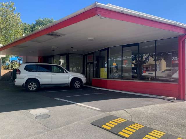 3131 Great North Road New Lynn_1