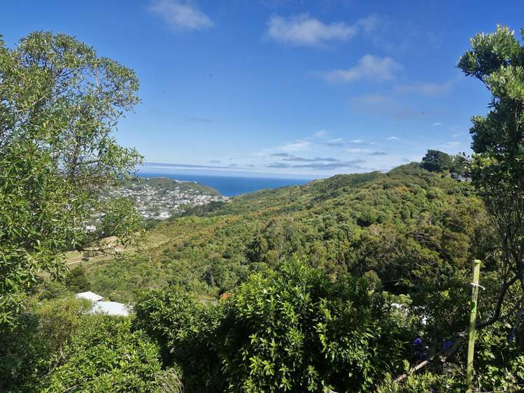 4 Stormont Place Kingston_13