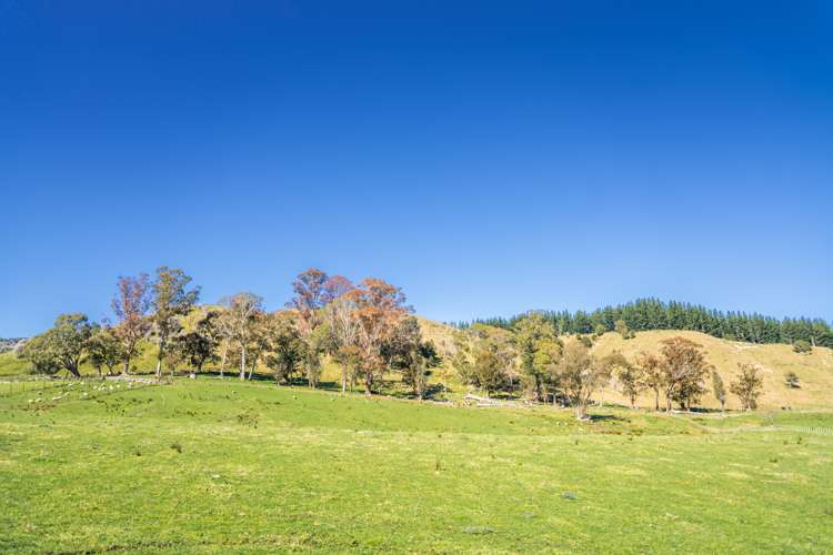 232 Kotare Road Ruakituri_14