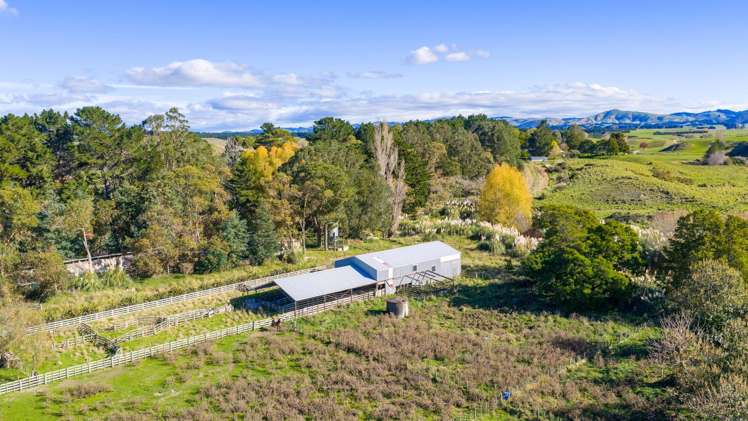 254 Wilder Road Porangahau_15