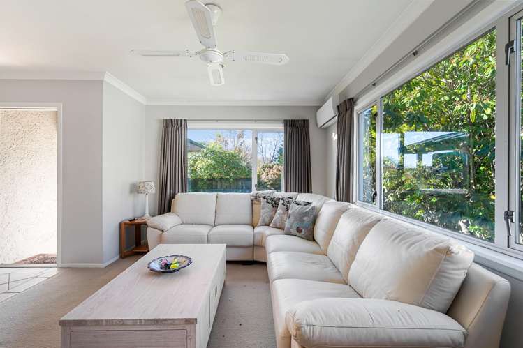 345 Old Taupo Road Springfield_4