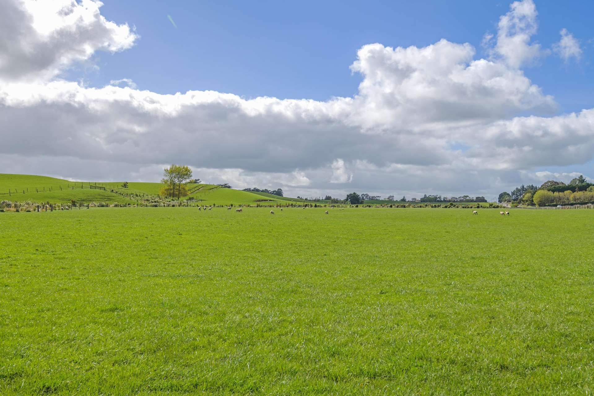 268 Wanganui Road Marton_0