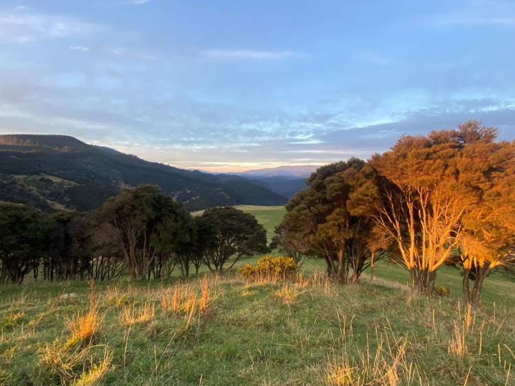 121 Silverstream Valley Road North Taieri_14