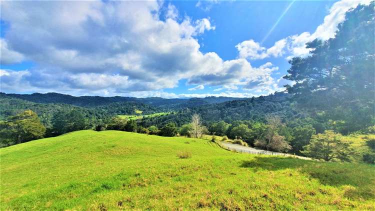 585 West Coast Road Kohukohu_7