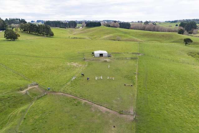 780 Halcombe Road Halcombe_4