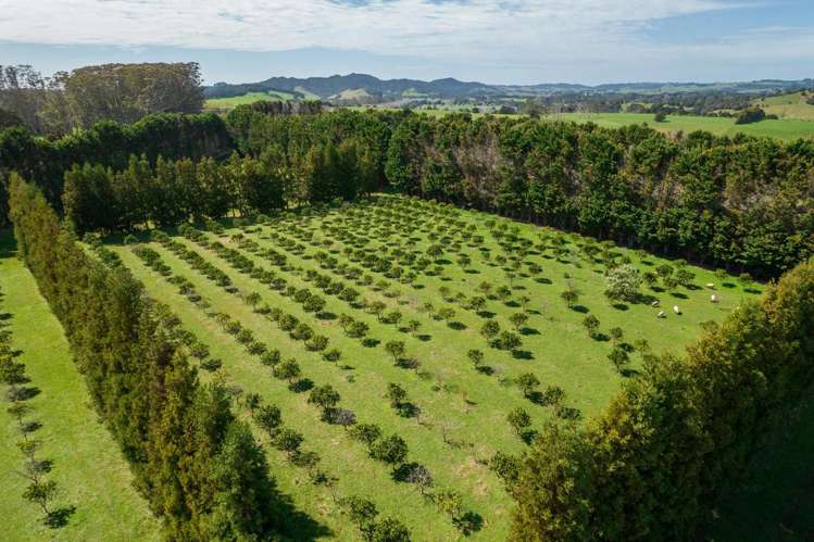 908A Te Ahu Ahu Road, Waimate North Kerikeri_13