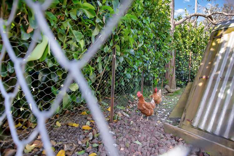 41 Retreat Road Haruru_32