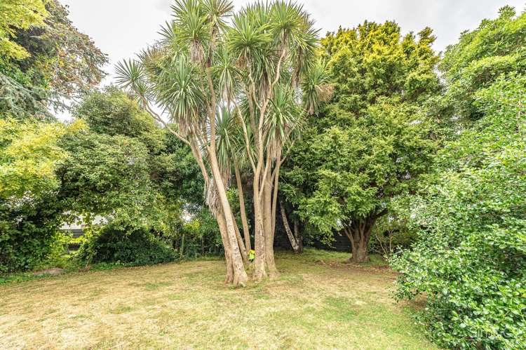 54 Bell Street Whanganui_33