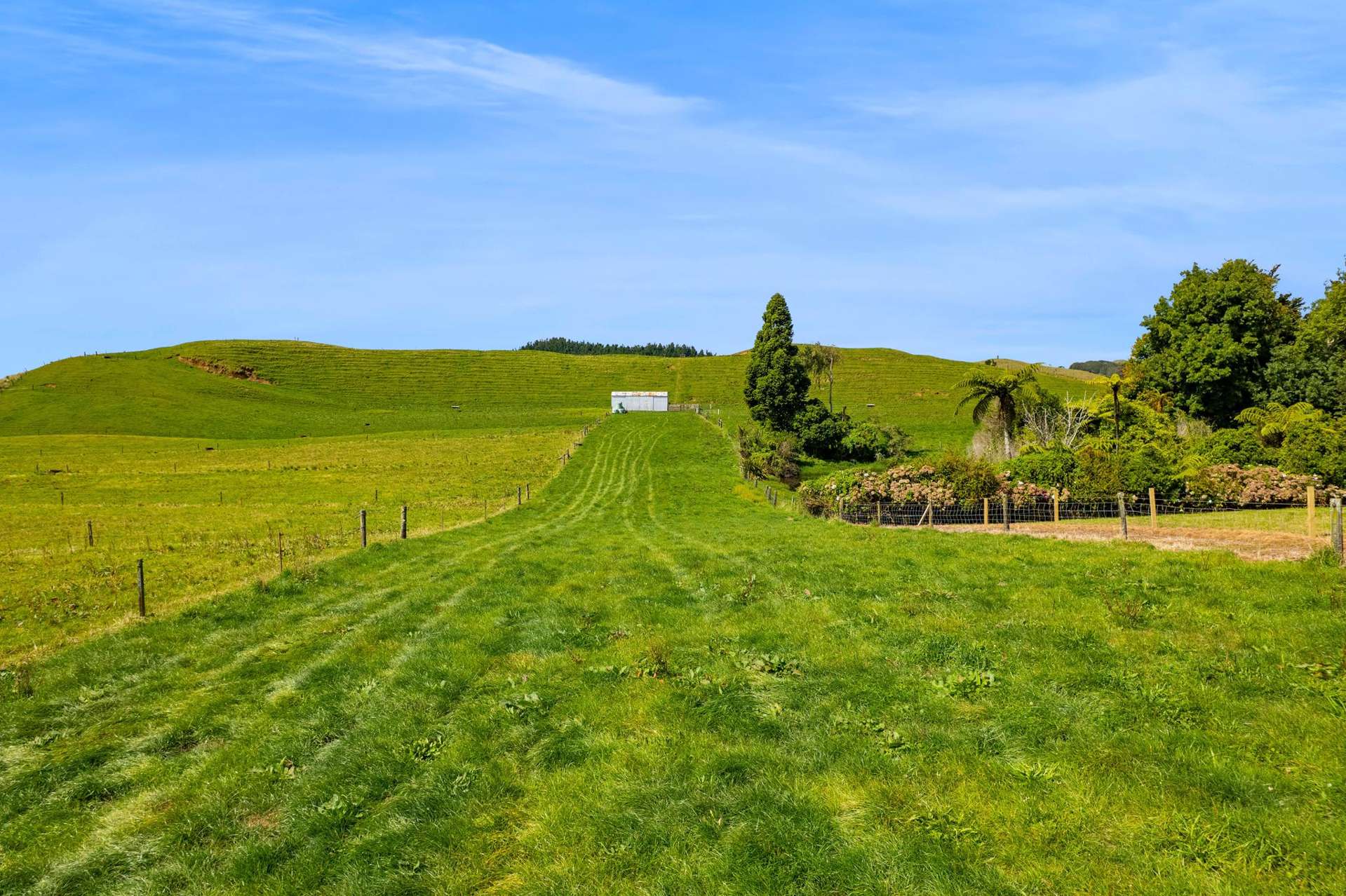 0n Mangorei Road New Plymouth_0