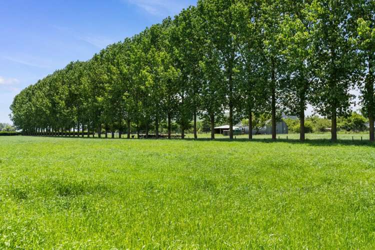 5659 State Highway 26 Te Aroha_7