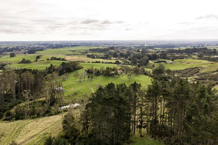 58 Greens Road Linton_17
