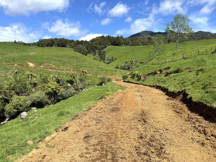 3/585 O'Shea Road Pirongia_5