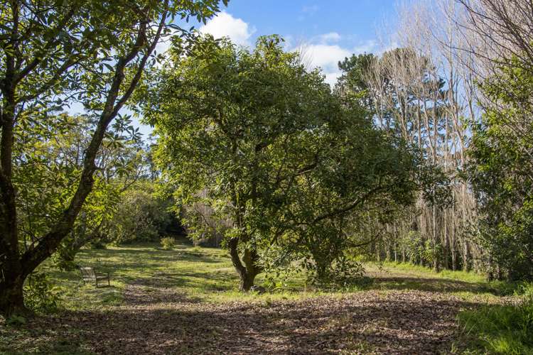 49 Lindemann Road Katikati_10