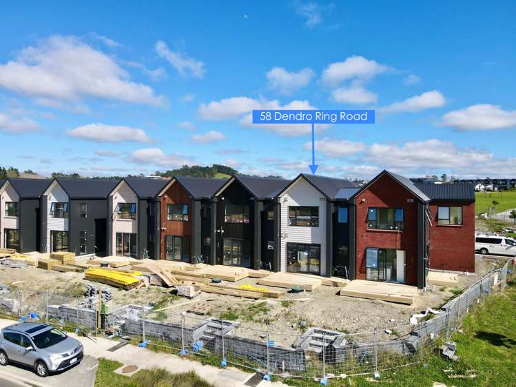 58 Dendro Ring Road_0