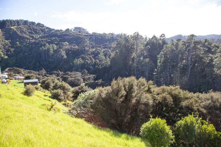 8 Te Mata Drive Te Mata_12