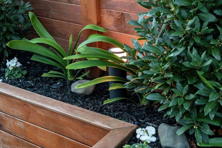 3/71 Moore Street Howick_25