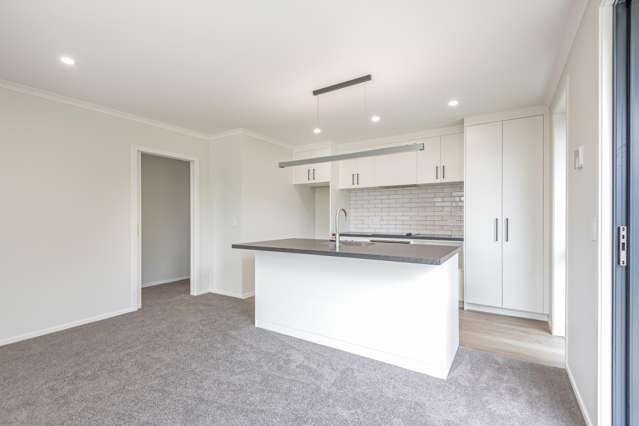 1 Murray Ball Lane Feilding_3