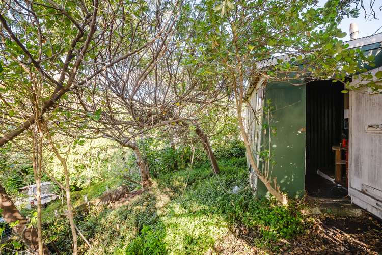 90 The Parade Paekakariki_10