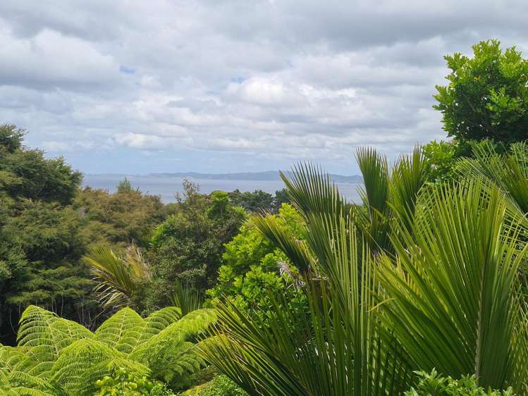 51B Waihirere Drive Coromandel_3