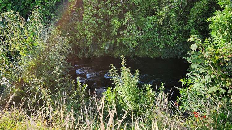 Lot 2 1778 Mountain Road Inglewood_10