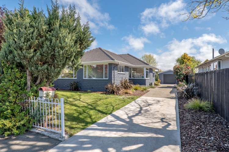19 Eglinton Street Avondale_19