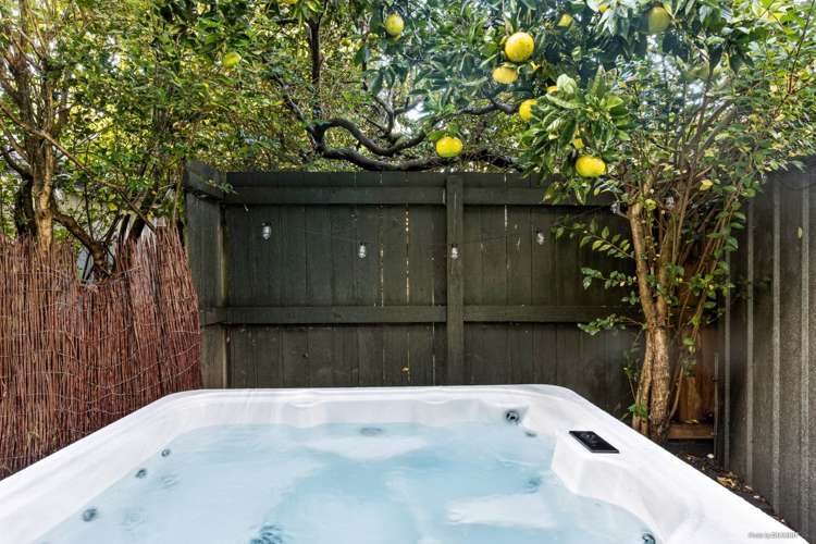 73b Canal Road Avondale_15