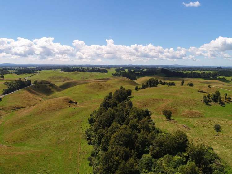 627 South Road Mamaku_23