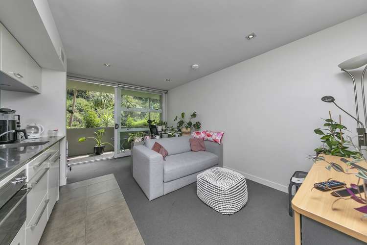 19/21 Birdwood Crescent Parnell_17