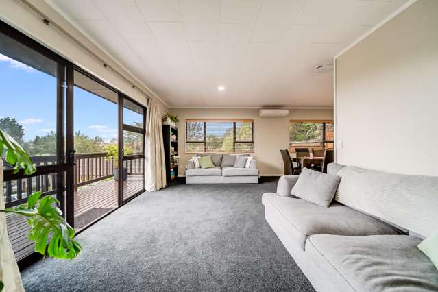 746 Picquet Hill Road Te Awamutu_4