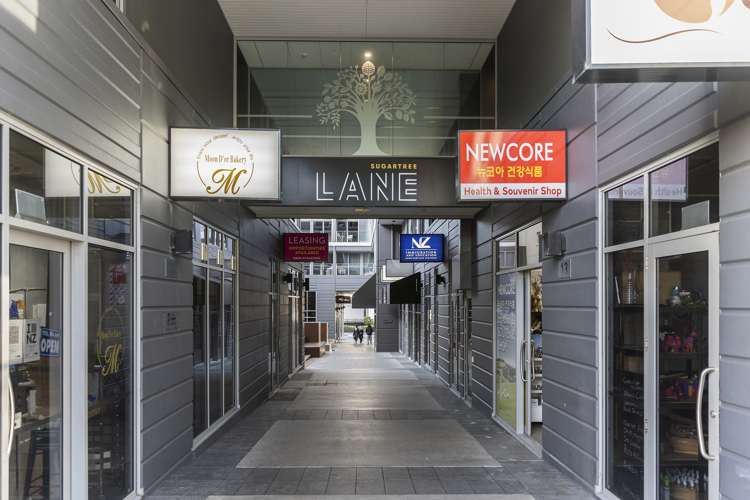 915/27 Union Street Auckland Central_16