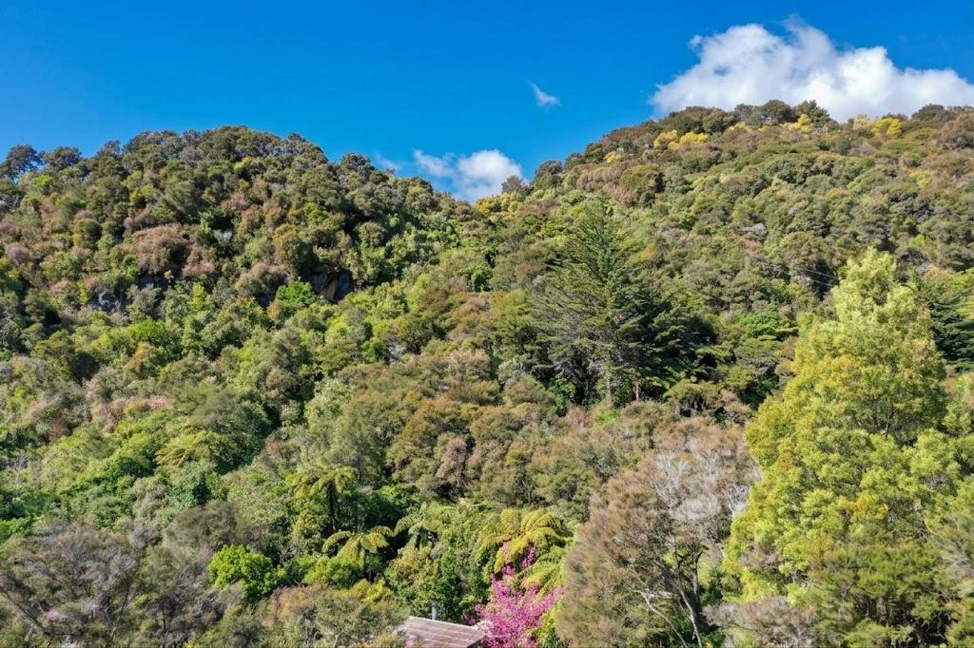 219 Parapara Valley Road Collingwood_0