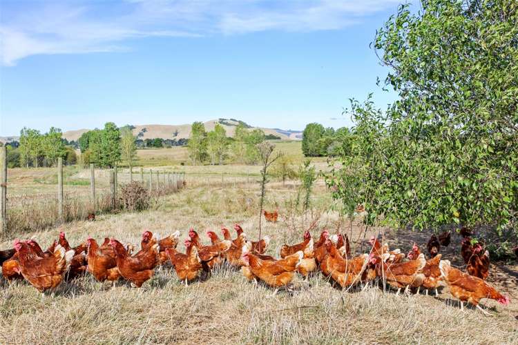 108 Maxwell Road Maramarua_5