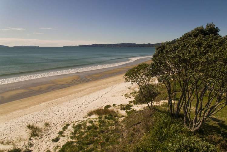 110 Te Punga Road Whangapoua_8