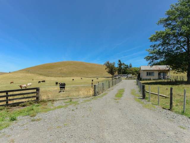 360 Valley Road Central Hawkes Bay Coastal_1