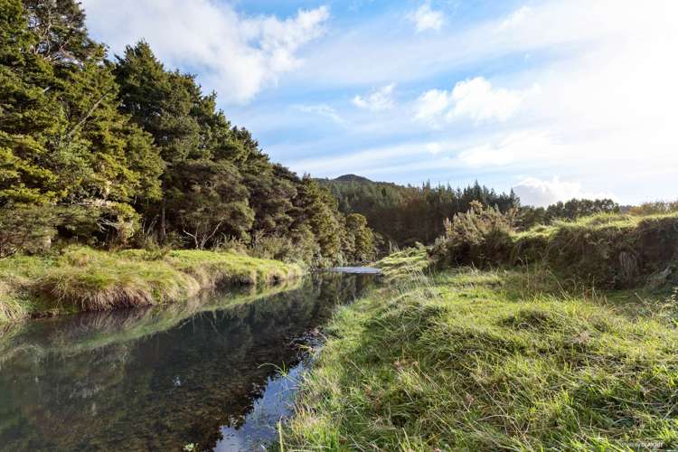 632 Sawyer Road Mangonui_20