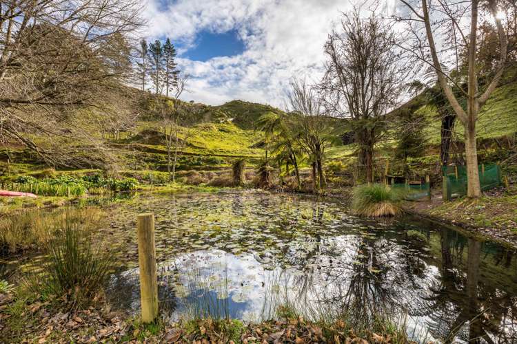 822 Motukawa Road Tarata_20