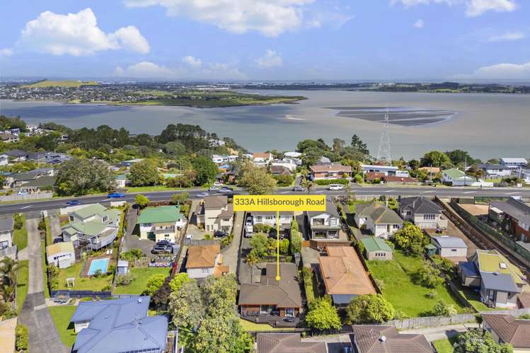 333A Hillsborough Road Hillsborough_18