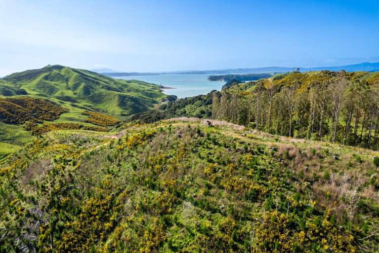 Lot 3 Whakapirau Road Kawhia_12