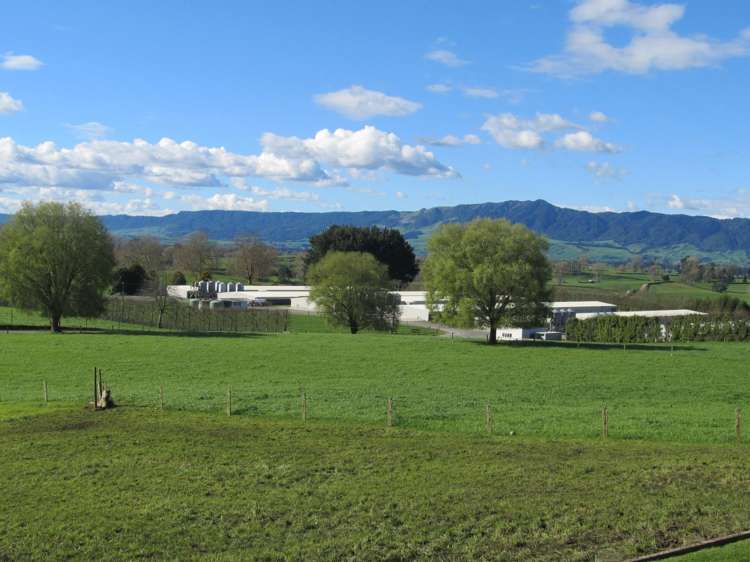 253 Rangitanuku Road Te Poi_11