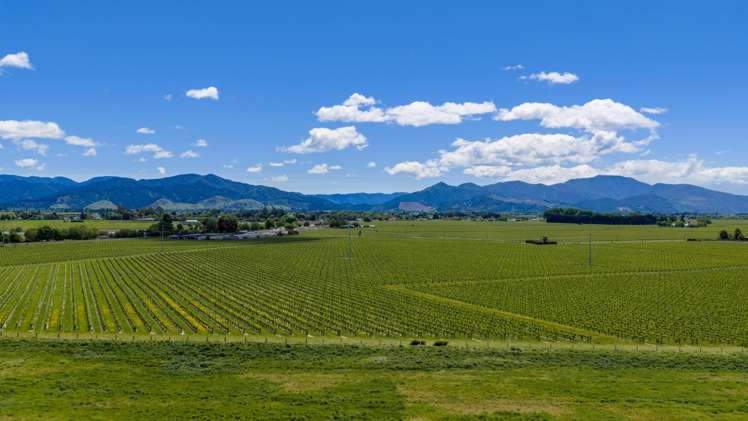 41 Endeavour Street Riversdale_29