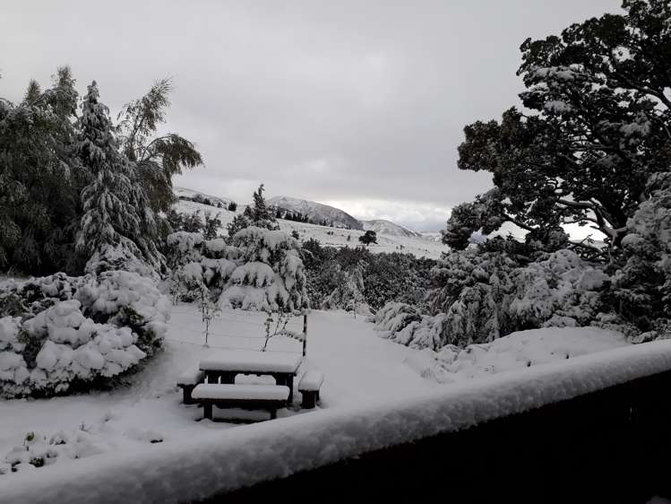 53 Terako Terrace Lyford_15